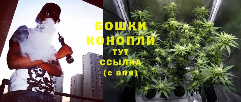 МАРИХУАНА THC 21%  Поворино 